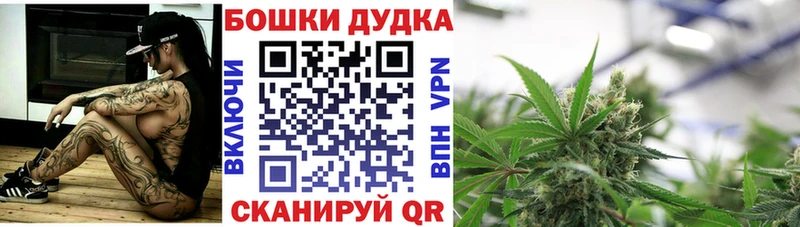Конопля OG Kush  сколько стоит  Обоянь 